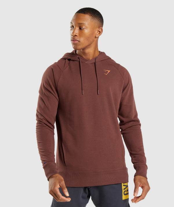 Panske Mikiny S Kapucňou Gymshark Bold Ruzove Hnede | EJ2658379